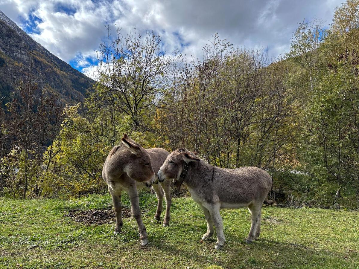 Cozyloge, Orelle & Les 3 Vallees المظهر الخارجي الصورة
